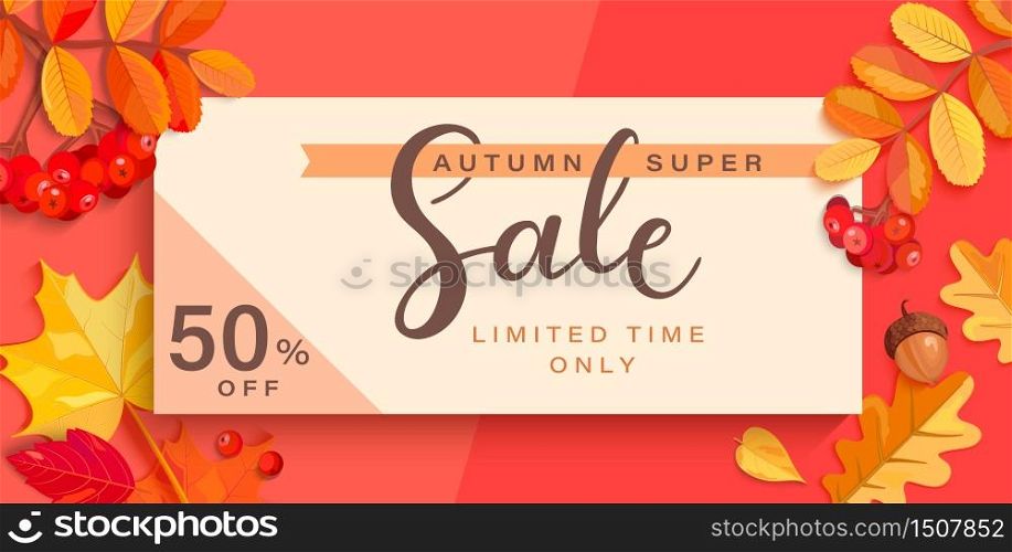 Autumn super sale banner with fall elements.Big discounts limited time only with colorful leaf,rowan berries,acorns,pumpkin for seasonal shopping promotion,web,flyers.Template for cards,ad.Vector. Autumn super sale banner with fall elements.