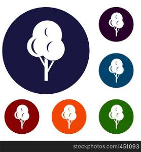 Autumn tree icons set in flat circle reb, blue and green color for web. Autumn tree icons set