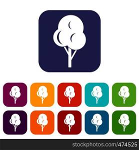 Autumn tree icons set vector illustration in flat style In colors red, blue, green and other. Autumn tree icons set