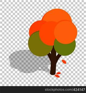 Autumn tree isometric icon 3d on a transparent background vector illustration. Autumn tree isometric icon