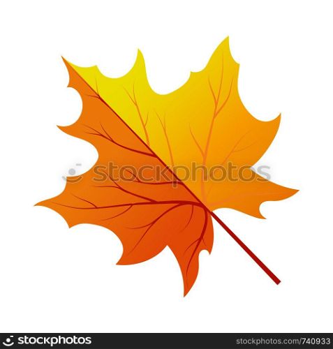 Autumn Tree Leaf. Fall Collection. Vector illustration.