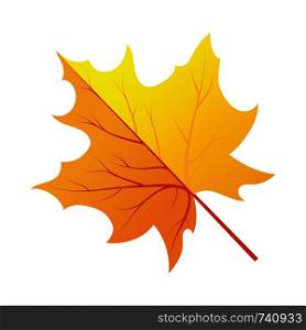 Autumn Tree Leaf. Fall Collection. Vector illustration.