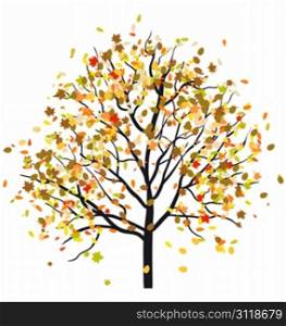 Autumn tree with falling leaves. Vector illustration.
