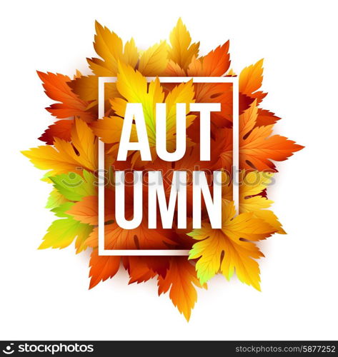 Autumn typographic. Fall leaf. Vector illustration. Autumn typographic. Fall leaf. Vector illustration EPS 10