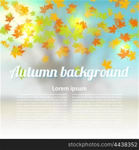 Autumn vector background with colored maple leaves. Changing seasons illustration. &#xA;Banner, card, poster. Stock vector illustration