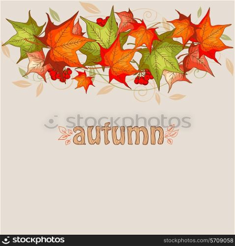 Autumn vector background with maple leaves and red viburnum