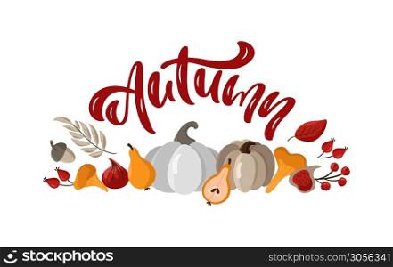 Autumn vector calligraphy lettering text banner in frame fall leaves, acorns, pumpkins and berries. Vector template with lettering isolated on white background.. Autumn vector calligraphy lettering text banner in frame fall leaves, acorns, pumpkins and berries. Vector template with lettering isolated on white background