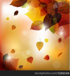 Autumn vector leafs background- fall illustration with back light