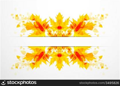 Autumn vector leaves background