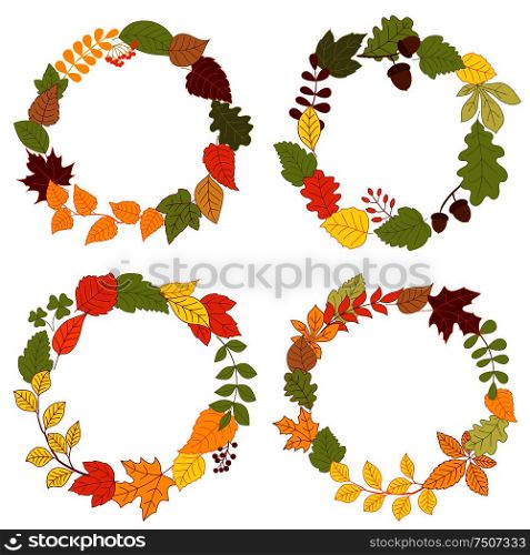 Autumn wreaths composed with colorful tree branches, fall and clover leaves, dry acorns, orange rowanberry bunches and forest berries. Autumn leaves wreaths with acorns and berries