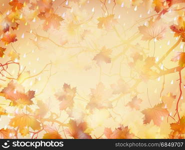 Autumnal Background with maple leaves. And also includes EPS 10 vector