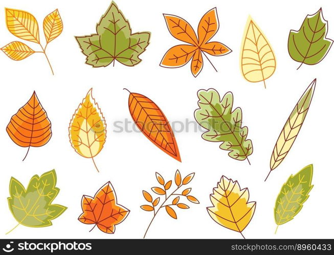 Autumnal colorful isolated leaves vector image