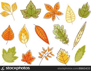 Autumnal colorful isolated leaves vector image