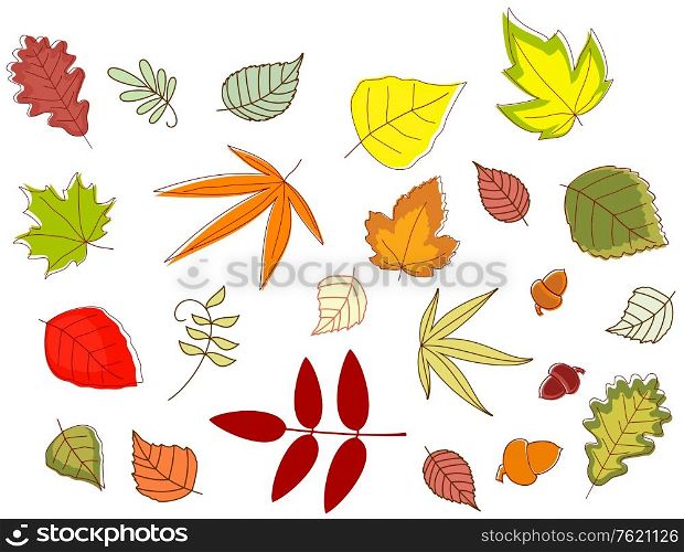 Autumnal colorful leaves set isolated on white background