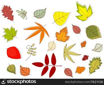 Autumnal colorful leaves set isolated on white background