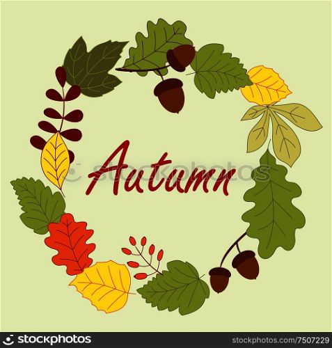 Autumnal frame composed by leaves, dry acorns and forest berries on background. Season frame with autumn leaves