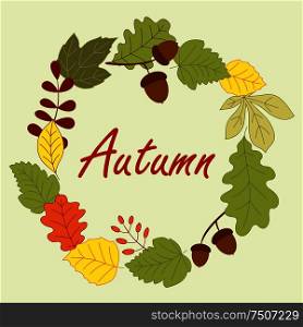 Autumnal frame composed by leaves, dry acorns and forest berries on background. Season frame with autumn leaves