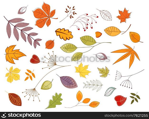 Autumnal leaves and plants set for seasonal design