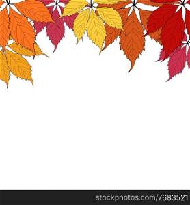 Autunm Leaves Background Vector Illustration EPS10. Autunm Leaves on white Background Vector Illustration