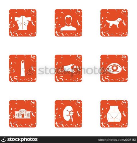 Avenue promenade icons set. Grunge set of 9 avenue promenade vector icons for web isolated on white background. Avenue promenade icons set, grunge style