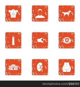 Avenue promenade icons set. Grunge set of 9 avenue promenade vector icons for web isolated on white background. Avenue promenade icons set, grunge style
