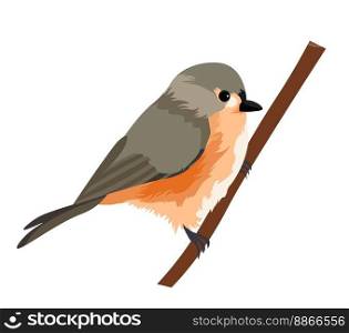 Avian animal, isolated bird sitting on branch, bird in natural habitat. Portrait of cute personage with colorful feather and long tail, sharp beak and small body and weight. Vector in flat style. Bird sitting on wooden branch, avian ortithology