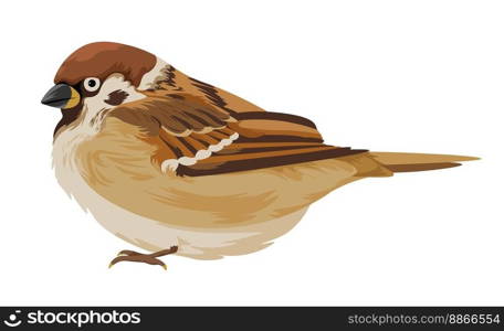 Avian animal portrait closeup. Isolated sparrow with brown plumage and feathers. Cute personages with beak and claws, wilderness and fauna of nature. Passer domesticus, vector in flat styles. Sparrow passer domesticus, avian animal vector