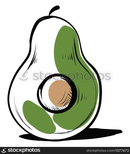 Avocado drawing, illustration, vector on white background.