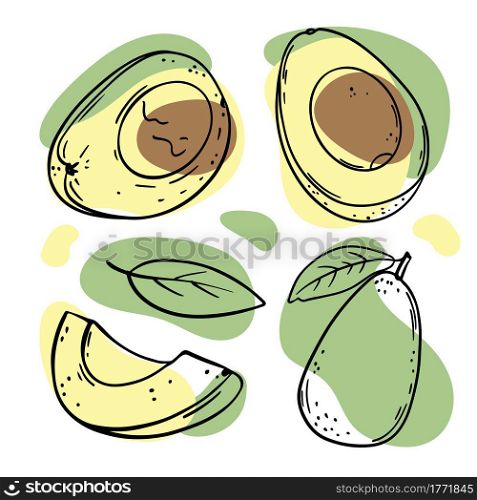AVOCADO FRUIT Delicious Fruit Sketch Vector Illustration Set