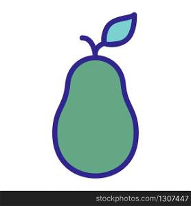 avocado fruit icon vector. avocado fruit sign. color isolated symbol illustration. avocado fruit icon vector outline illustration