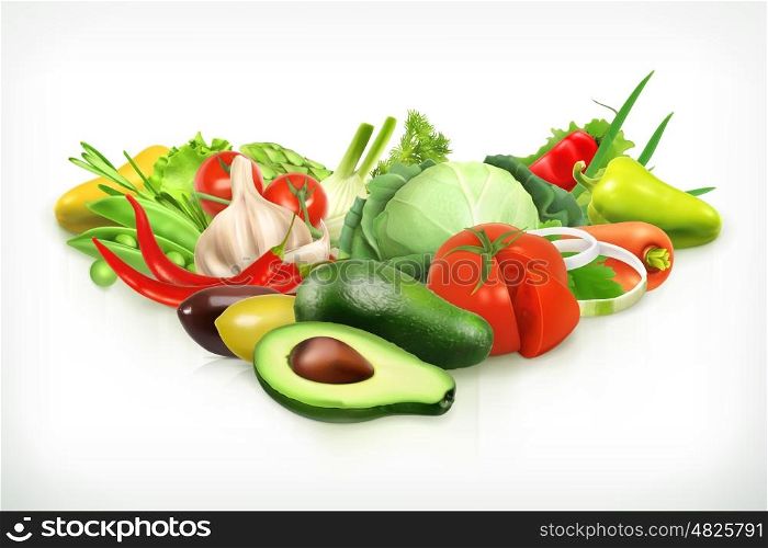 Avocado, harvest juicy and ripe vegetables vector illustration