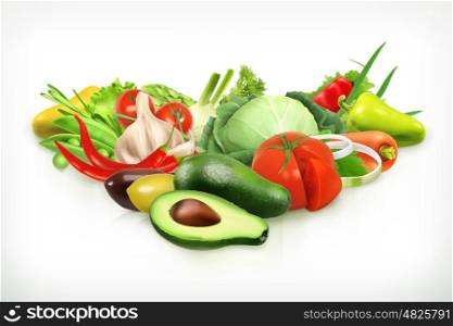 Avocado, harvest juicy and ripe vegetables vector illustration