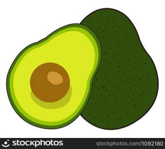 Avocado, illustration, vector on white background.