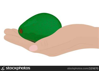 Avocado in a hand vector illustration on a white background isolated