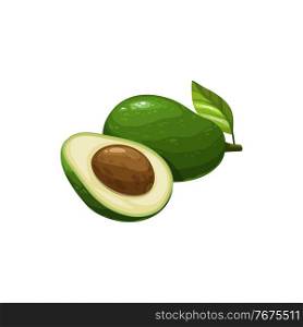 Avocado natural tropical vector vegetable with seed and leaf, whole and half. Exotic healthy food isolated on white background. Cartoon organic veggies, ripe plant, eco farm production. Avocado vector natural tropical vegetable plant