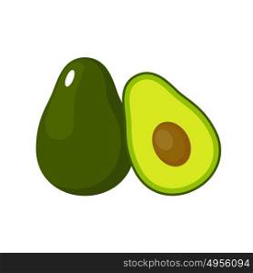 Avocado on a white background isolated. Vector illustration