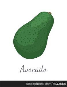 Avocado or alligator pear exotic juicy fruit vector isolated. Tropical edible food, dieting icon vegetarian icon full of vitamins, nutrition dessert. Avocado Alligator Pear Exotic Juicy Fruit Vector