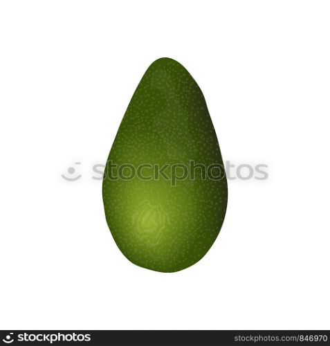Avocado ripe raw fruit. Persea americana exotic whole. Green peel. Juicy, isolated on white background. Super food, cosmetology, health care, for prints, labels, web. vector illustration.. Avocado ripe raw fruit. Persea americana exotic whole. Green peel. Juicy, isolated on white background. Super food,