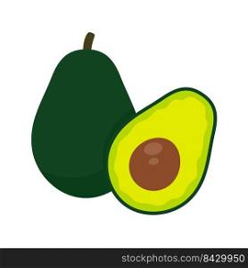 Avocado vector. avocado fruit cut into pieces There is a round seed inside. for health care