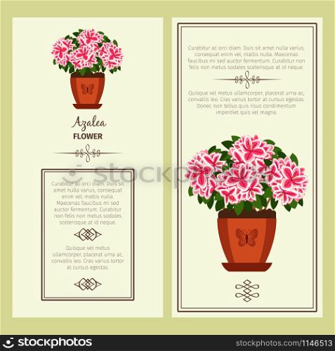 Azalea flower in pot vector advertising banners for shop design. Azalea flower in pot banners