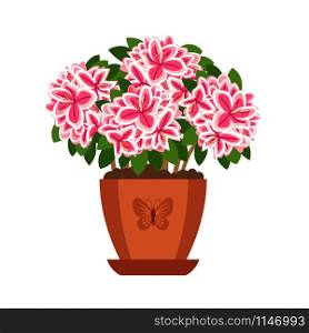 Azalea hoseplant with pink flowers in pot, vector icon. Azalea hoseplant icon