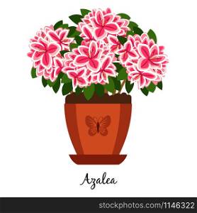 Azalea plant in pot isolated on the white background, vector illustration. Azalea plant in pot icon