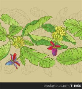 babana vector pattern. babana plant vector pattern on color background