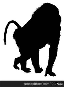 Baboon silhouette