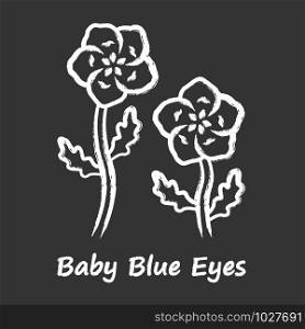 Baby blue eyes chalk icon. Linen blooming flower with name inscription. Nemophila menziesii garden plant. Blue flax inflorescence. Wildflower blossom. Isolated vector chalkboard illustration