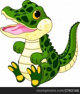 Baby boy crocodile
