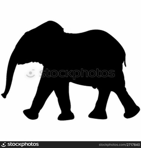 baby elephant silhouette isolated on white background, abstract art illustration