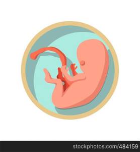 Baby in a womb cartoon icon on a white background. Baby in a womb cartoon icon
