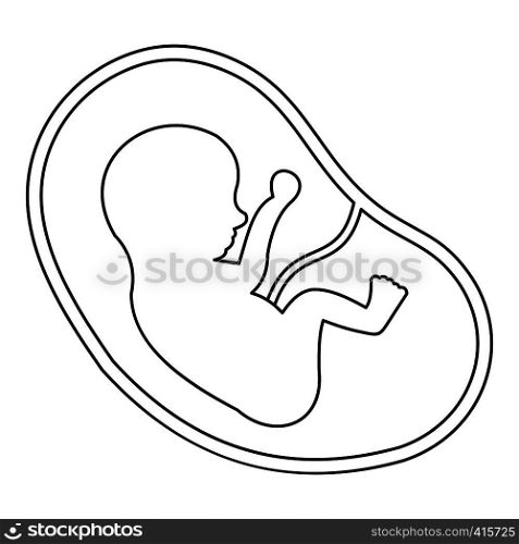 Baby in womb icon. Outline illustration of baby in womb vector icon for web. Baby in womb icon, outline style