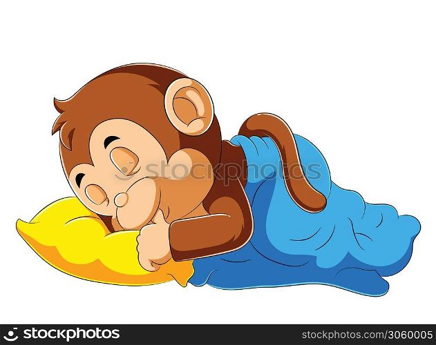 Baby monkey sleeping with blanket